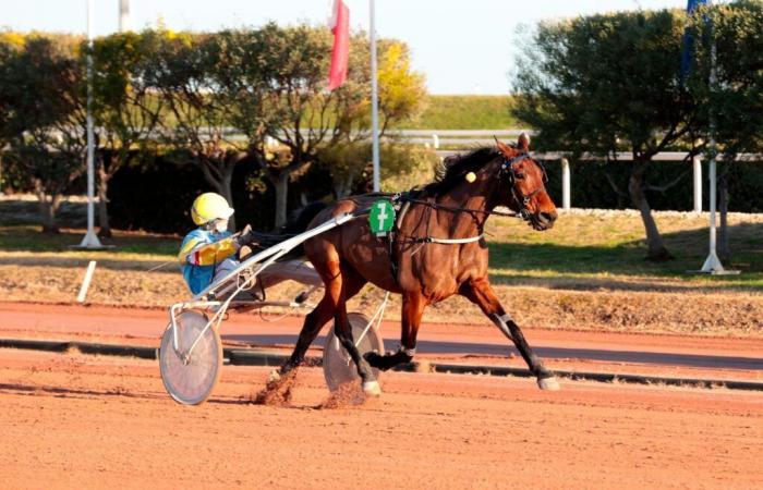 Galie de Célinière era inavvicinabile