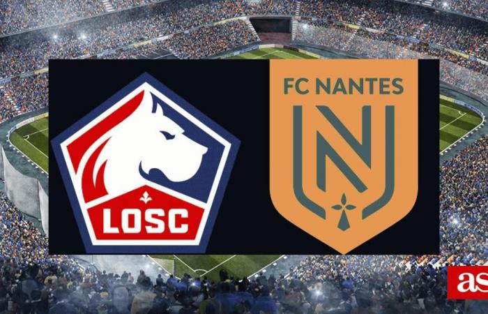 Lille-Nantes 1-1: risultati, sintesi e gol