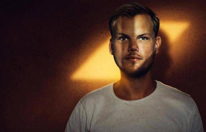 Su Netflix, Avicii o il dramma dei giradischi