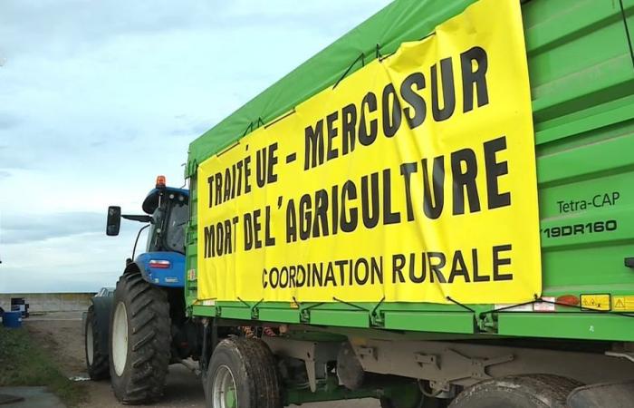 Agricoltori del Coordinamento rurale in viaggio questa domenica sera a Parigi