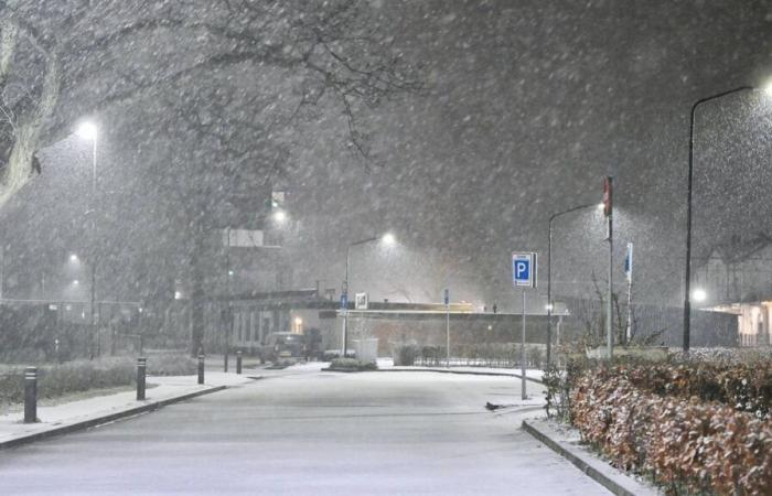 Uno strato di neve ha portato un bianco splendore per chi è arrivato presto