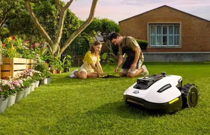 Come questi due robot tagliaerba si adattano ai giardini di piccole e medie dimensioni