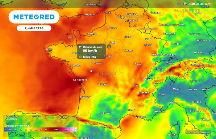 le nostre mappe confermano le violente raffiche di vento! Quali regioni sono interessate?