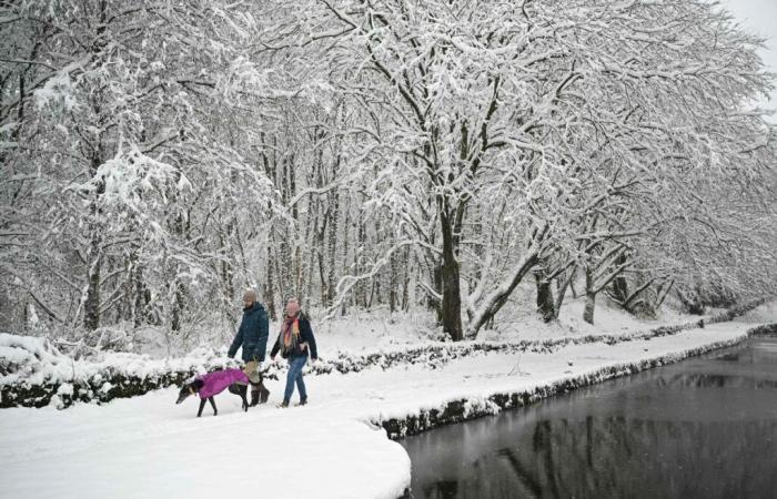 forti nevicate, trasporti, soprattutto aerei, molto perturbati