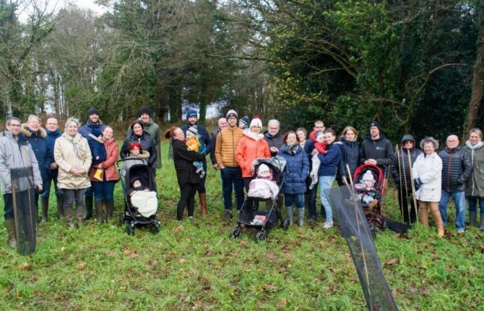 Finistère. Nella casa natale tanti alberi quanti sono i bambini e fa bene al clima