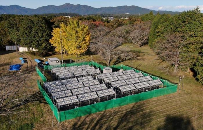 Questa innovazione sintetizza in modo efficiente il carburante con l’acqua e il sole ⛽