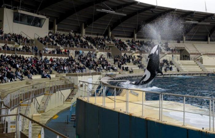 Tre domande sulla chiusura definitiva del Marineland di Antibes, il più grande zoo marino d’Europa