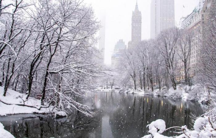 Una grande tempesta invernale minaccia gli Stati Uniti orientali