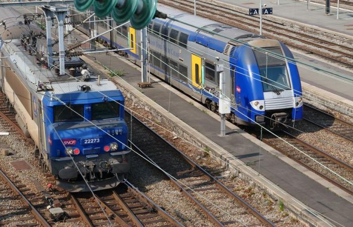 Bollettino meteorologico. A causa della depressione di Floriane, quali treni non circoleranno questo lunedì 6 gennaio nell’Hauts-de-France?