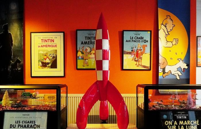 “Tintin, mio ​​nipote di 9 anni, non lo sa”