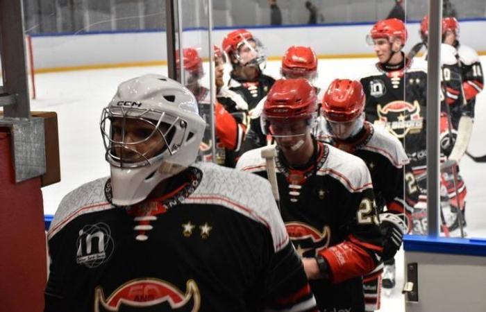 Nelle immagini: rivivi la partita di hockey su ghiaccio tra Neuilly-sur-Marne e Dunkerque, giocata allo stadio del ghiaccio di Dreux