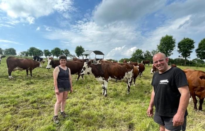 “L’adesione al gruppo Dephy è una vera forza trainante per il nostro allevamento nel Cantal”