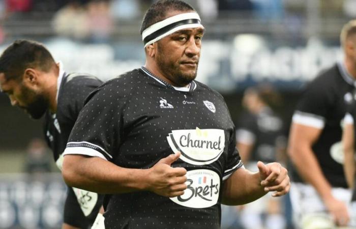 A Vannes, l’aria buona della Bretagna per Mako Vunipola