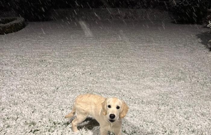 Meteo nel Regno Unito: forti nevicate colpiscono gran parte del Regno Unito mentre migliaia di persone sono rimaste senza elettricità – con avvisi estesi a lunedì