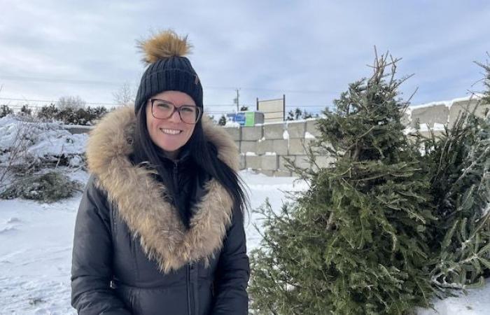 Dopo le festività natalizie, è il momento dell’albero del buon senso