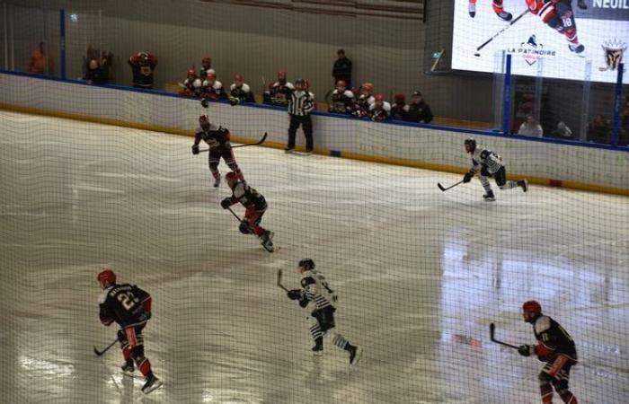 Nelle immagini: rivivi la partita di hockey su ghiaccio tra Neuilly-sur-Marne e Dunkerque, giocata allo stadio del ghiaccio di Dreux