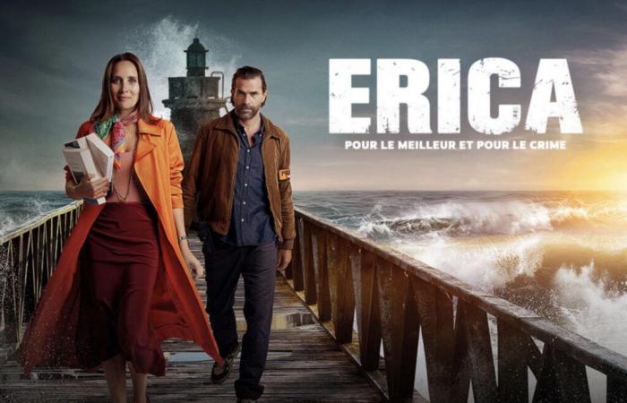 Riassunti degli episodi della serie Erica, con Julie de Bona e Grégory Fitoussi su TF1.