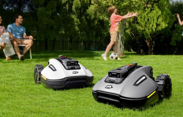 Come questi due robot tagliaerba si adattano ai giardini di piccole e medie dimensioni