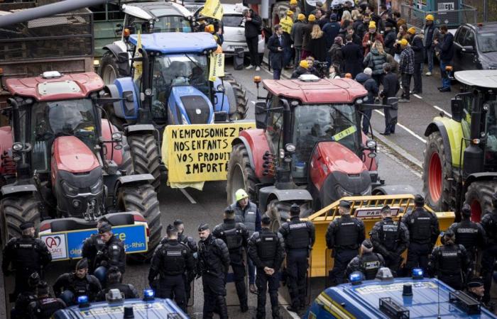 Parigi, Rungis o Lione bloccate dai contadini questo lunedì?