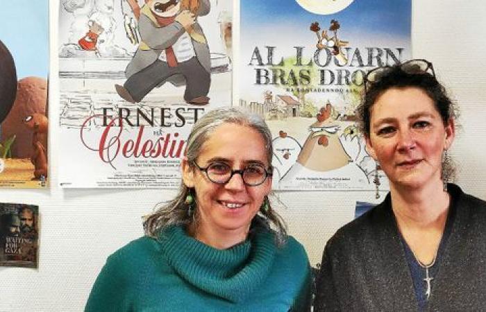 Douarnenez e il cinema: un idillio divino