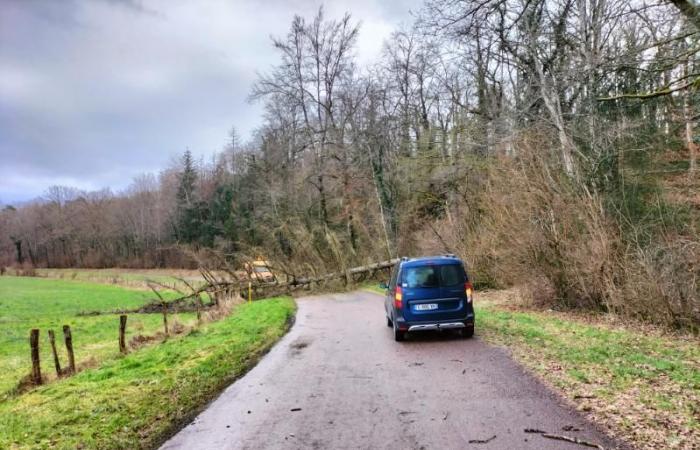 Alberi che giacciono sulle strade intorno a Colombey