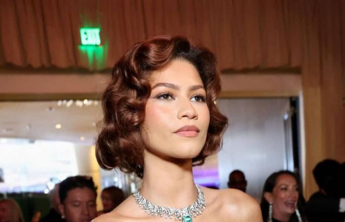 Zendaya e Tom Holland sono fidanzati!