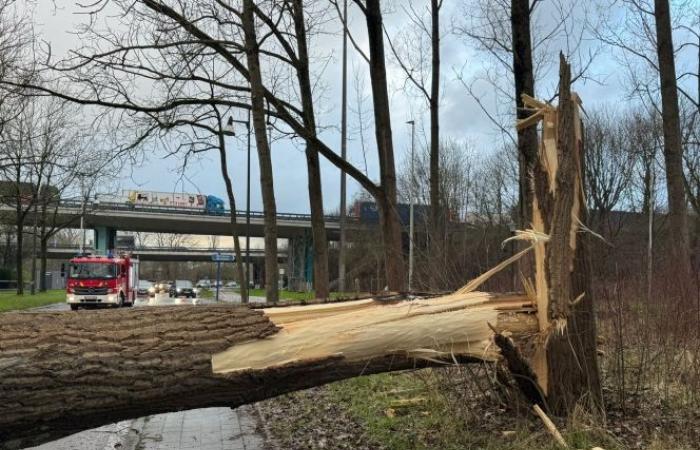 I venti violenti provocano danni estesi, si segnalano feriti