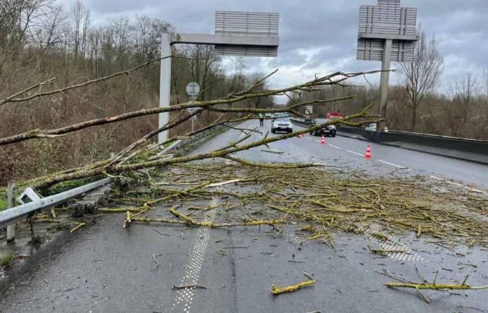 forti raffiche di vento sull’Oise, alberi caduti, treni fermi tra Creil e Compiègne