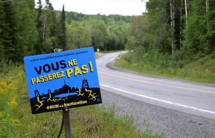 25 anni dal 2000: il Quebec è più verde?