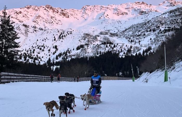 Attività insolite per un inverno indimenticabile