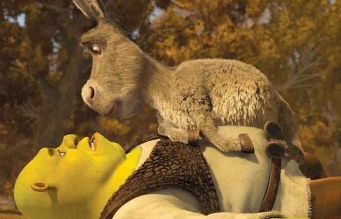 È morto Perry, l’asino che ha ispirato Shrek: “Ha sofferto molto”