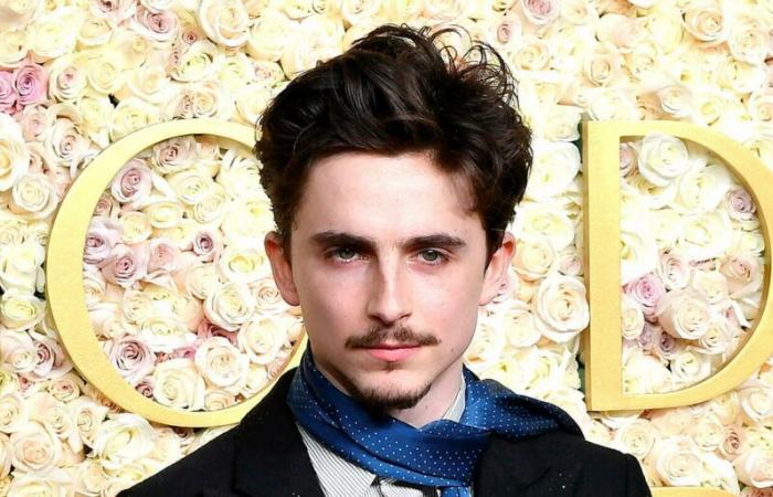 Timothée Chalamet si consola con Kylie Jenner ai Golden Globes