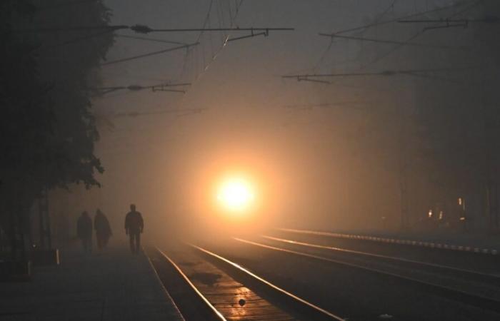 Ondata di freddo, fitta nebbia lasciano tremare il nord dell’India; le scuole in Jharkhand chiudono | Involucro meteorologico