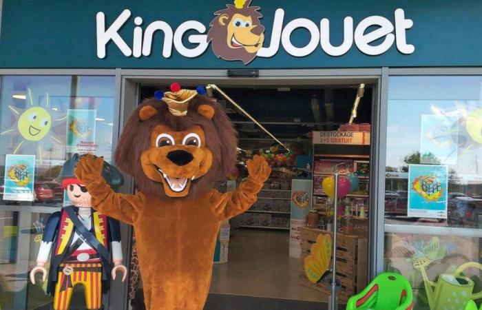 Kingtoy consolida il suo posizionamento in Belgio