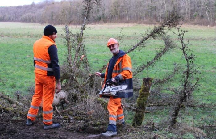 Alberi che giacciono sulle strade intorno a Colombey