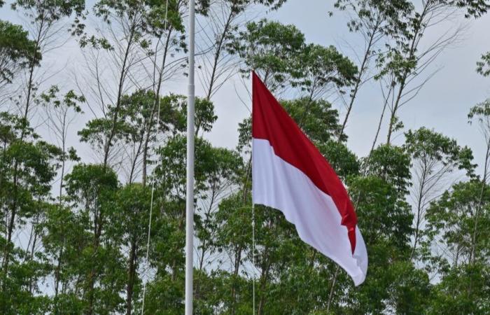 Il Brasile annuncia l’ingresso dell’Indonesia nel blocco dei paesi emergenti