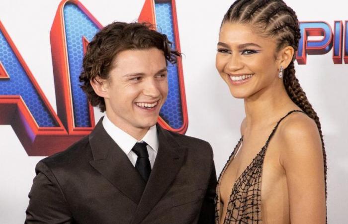 Tom Holland e Zendaya sono infatti fidanzati