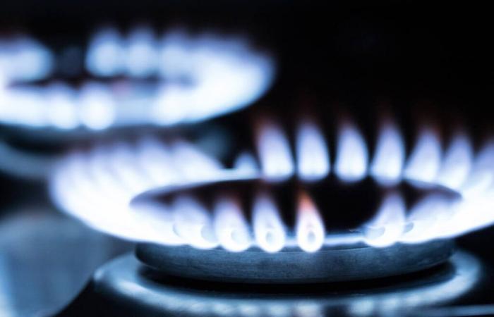 Il prezzo del gas aumenta nuovamente nel febbraio 2025