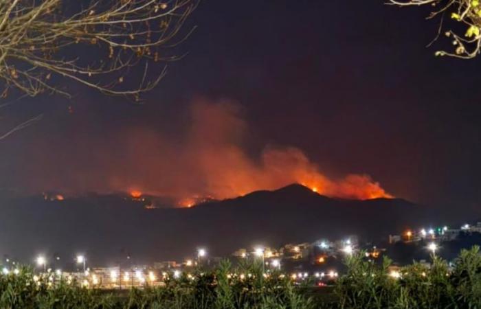 Un incendio devasta più di 100 ettari di foresta vicino a Tetouan