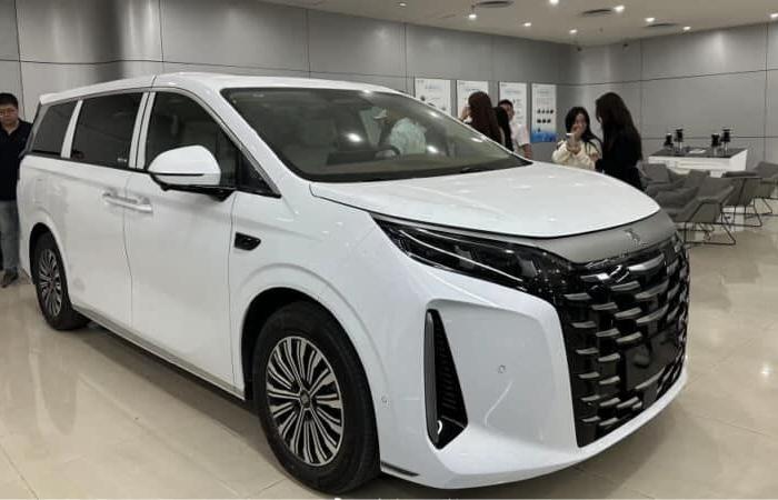 Il minivan BYD Xia PHEV ha raggiunto i concessionari prima del lancio