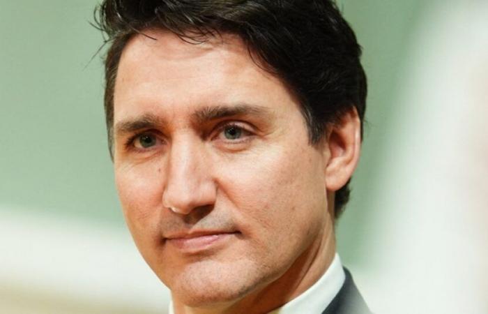 Il primo ministro Justin Trudeau si dimette! : Notizia