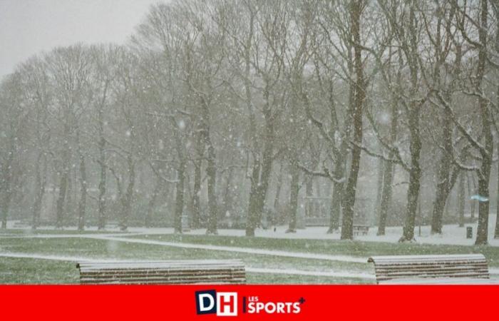 un inizio di settimana mite, piovoso e ventoso, prima del ritorno del freddo… e della neve