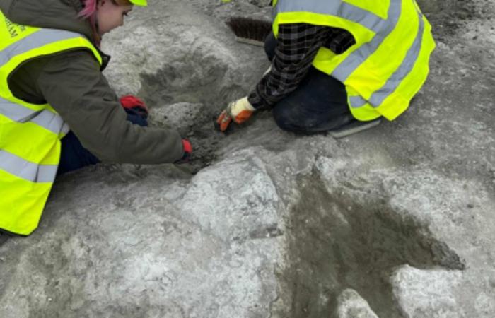 Impronte di dinosauro di 166 milioni di anni scoperte nel Regno Unito