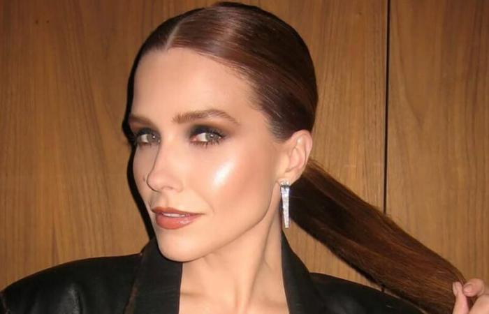 “Sono senza fiato!” Sophia Bush svela il suo outfit per i Golden Globes, la sua compagna Ashlyn Harris è stregata (FOTO)