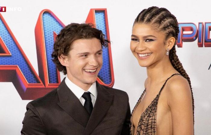 Tom Holland e Zendaya si sono fidanzati durante le vacanze di Natale