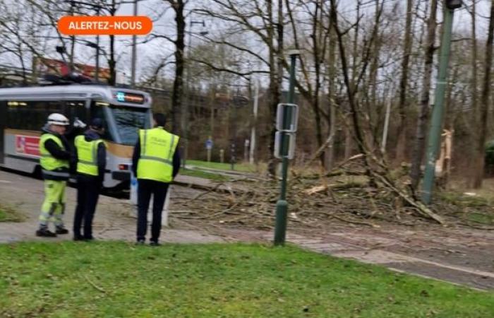 I venti violenti provocano danni estesi, si segnalano feriti