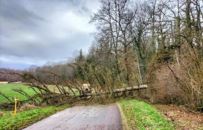 Alberi che giacciono sulle strade intorno a Colombey