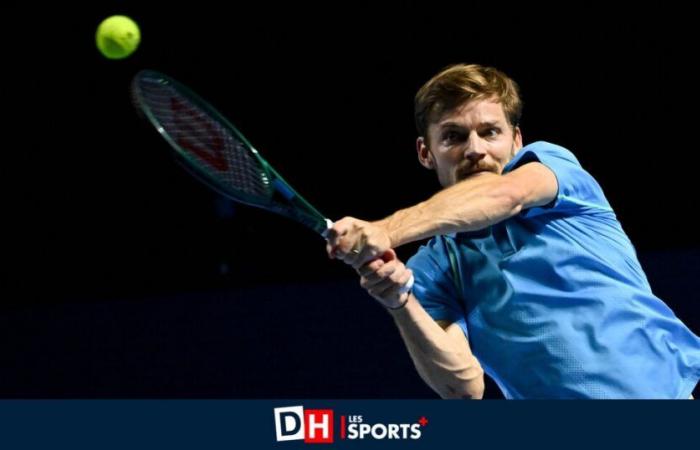 David Goffin inizia l’anno al 53esimo posto nell’ATP, Zizou Bergs (66esimo) ne vince cinque, Mertens conserva il suo 39esimo posto nella WTA