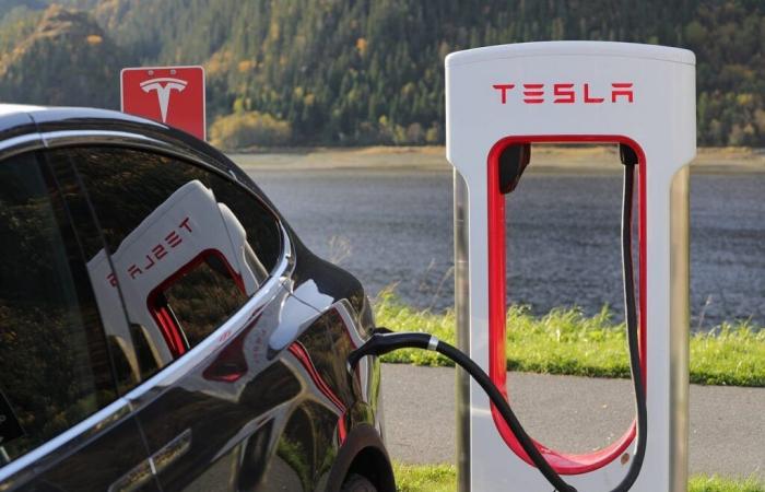 Tesla è in fase di stallo di fronte alla crescente concorrenza globale