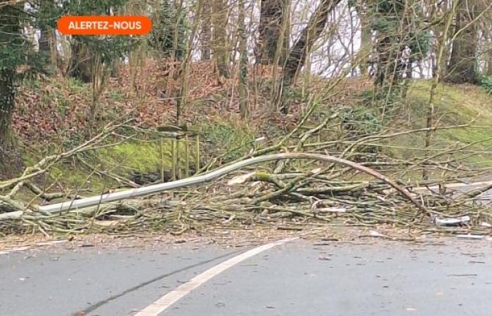 raffiche fino a 90 km/h causano i primi danni